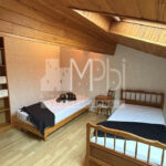 Ceyzeriat-Maison-avec-jardin-cour-et-garage-10