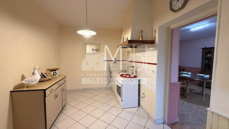 Ceyzeriat-Maison-avec-jardin-cour-et-garage-8