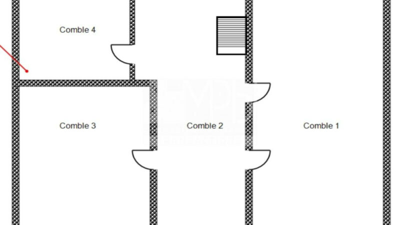 Projet-Investisseur-Tenement-de-2-maisons-et-dependances-avec-terrain-5