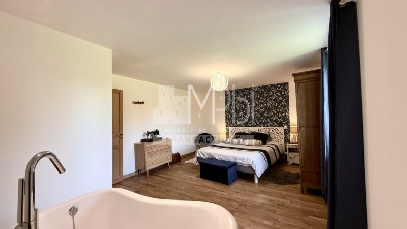 Propriete-Ancien-Moulin-Renove-a-Villereversure-10