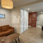 Appartement-T2-entierement-renove-vendu-meuble