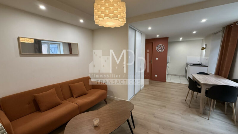 Appartement-T2-entierement-renove-vendu-meuble-3