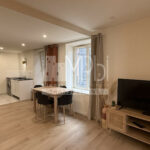Appartement-T2-entierement-renove-vendu-meuble-4