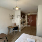 Studio-entierement-renove-vendu-meuble