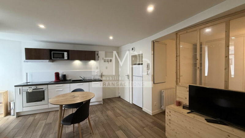 Studio-entierement-renove-vendu-meuble-avec-un-espace-chambre-1