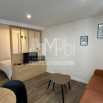 Studio-entierement-renove-vendu-meuble-avec-un-espace-chambre