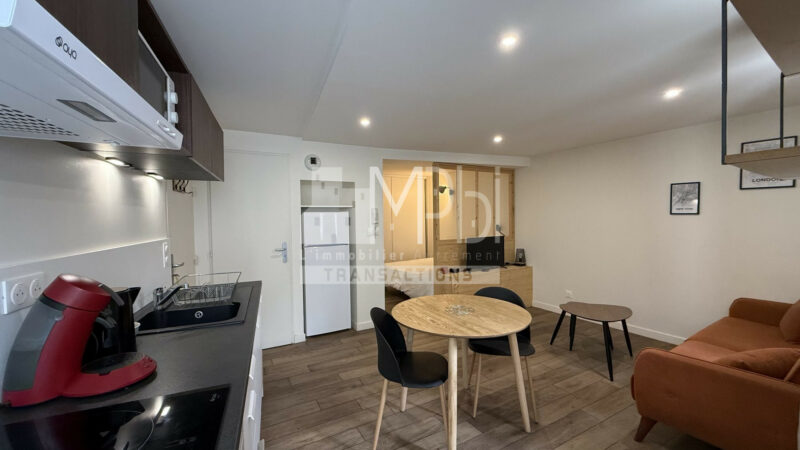 Studio-entierement-renove-vendu-meuble-avec-un-espace-chambre-2