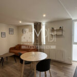 Studio-entierement-renove-vendu-meuble-avec-un-espace-chambre-3