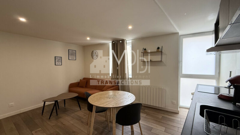 Studio-entierement-renove-vendu-meuble-avec-un-espace-chambre-3