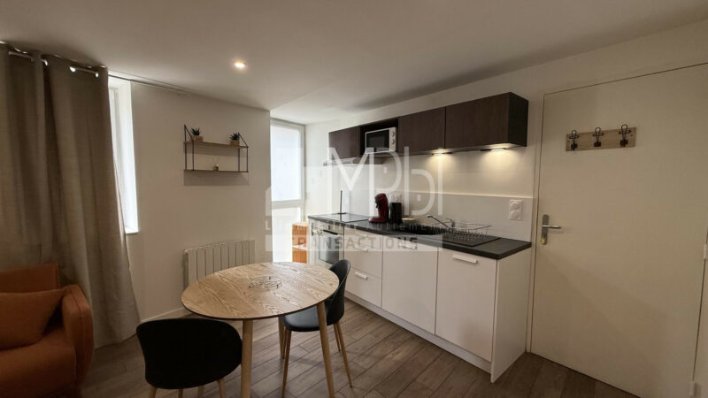 Studio-entierement-renove-vendu-meuble-avec-un-espace-chambre-4