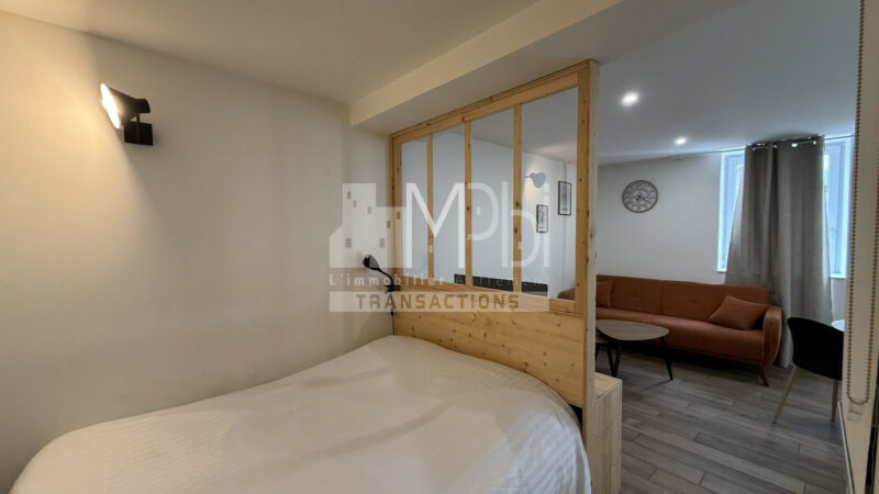 Studio-entierement-renove-vendu-meuble-avec-un-espace-chambre-6