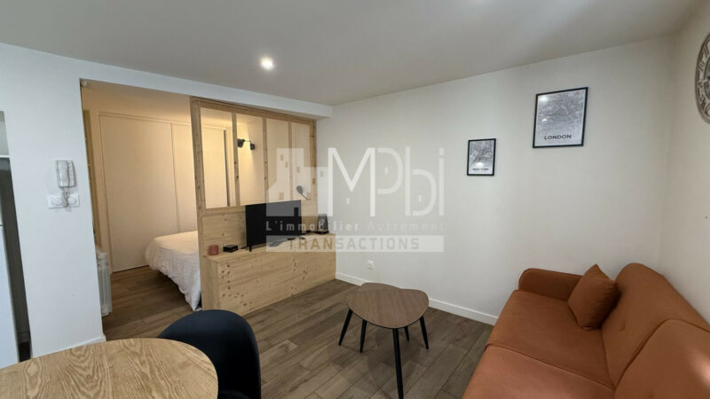Studio-entierement-renove-vendu-meuble-avec-un-espace-chambre