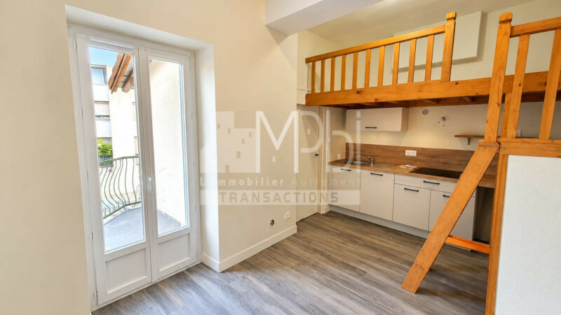 Immeuble-de-rapport-en-monopropriete-–-Centre-ville-de-Bourg-en-Bresse-9